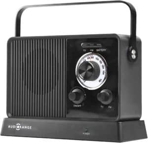 AudioRange SPK-1000FM Wireless