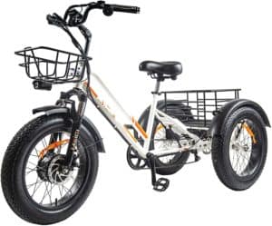 3 Wheel Electric Bike for Adult with 750W Motor